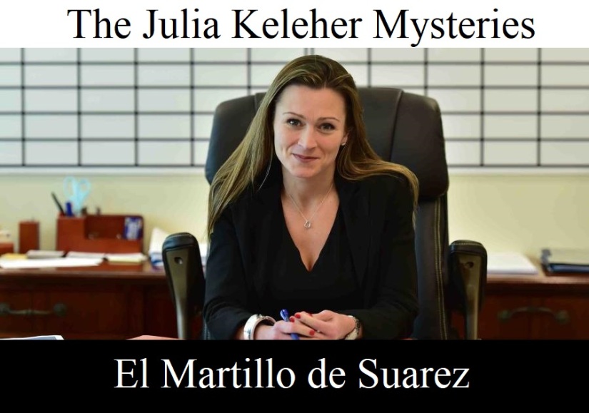 Image result for Julia keleher on reasons for her arrest